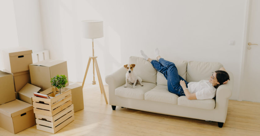 How To Keep Your Pet Comfortable During a Home Remodel
